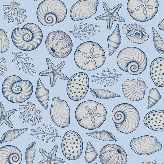 Seashell Cove wallpaper with seashells and marine flora on soft blue background.